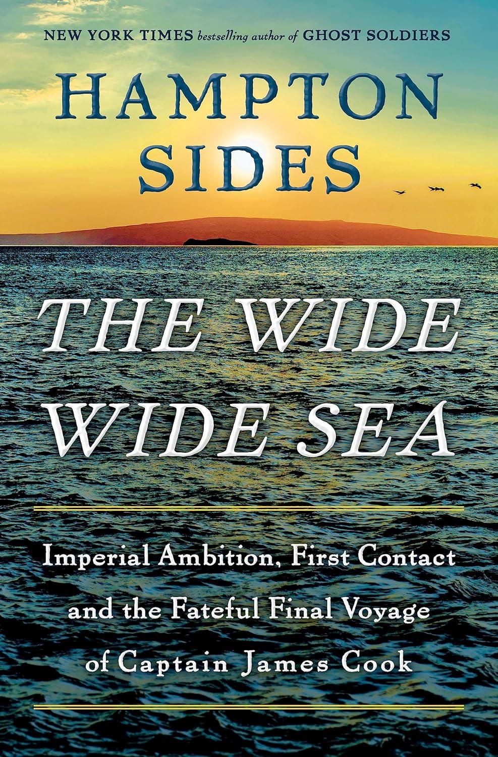 Wide Wide Sea book cover